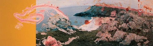 Helen Chadwick, Viral Landscape No. 2 (1988-1989)